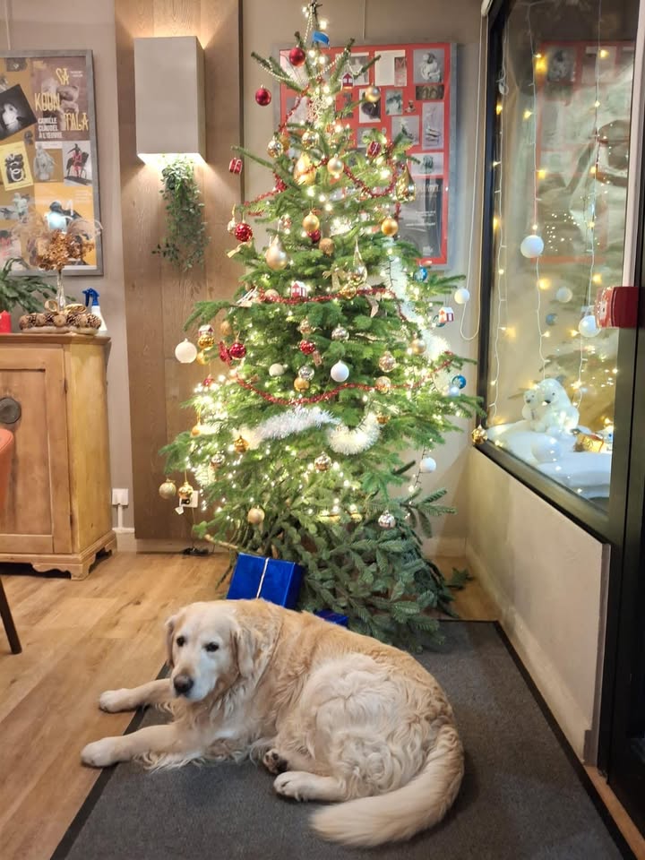 Hôtel Saint Laurent